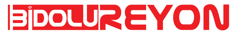 bidolureyon.com